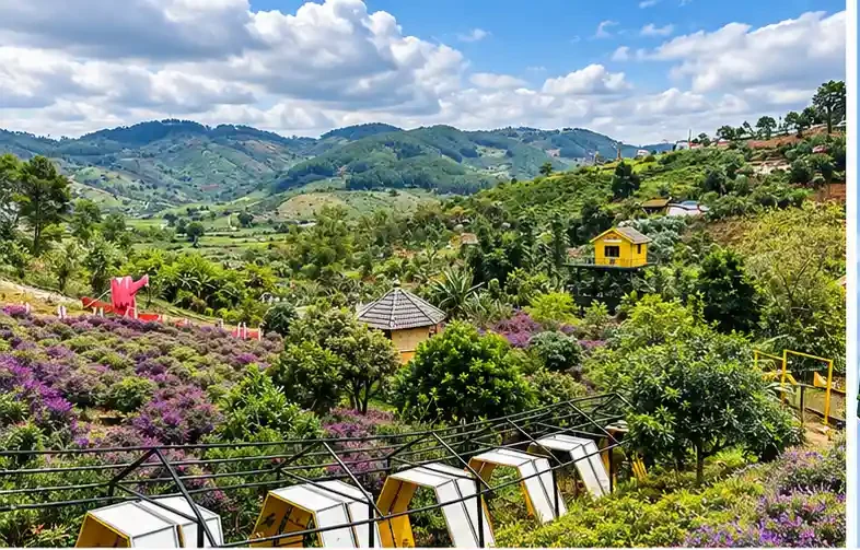 Rủ nhau "sống ảo" ở Thung lũng hoa Tà Nung