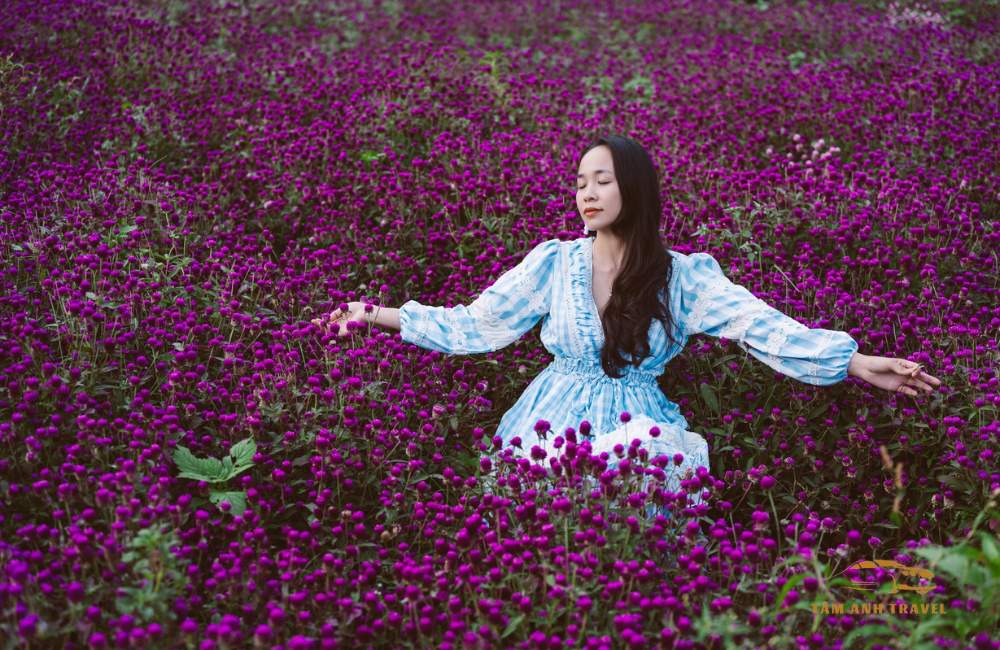 Background chụp ảnh "ngàn like" tại Khu du lịch Thuý Thuận