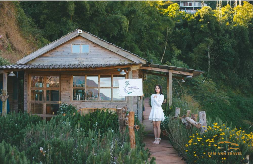 Checkin ngập tràn sắc tím tại "Vườn hoa Lavender Túi Thương Nhớ"