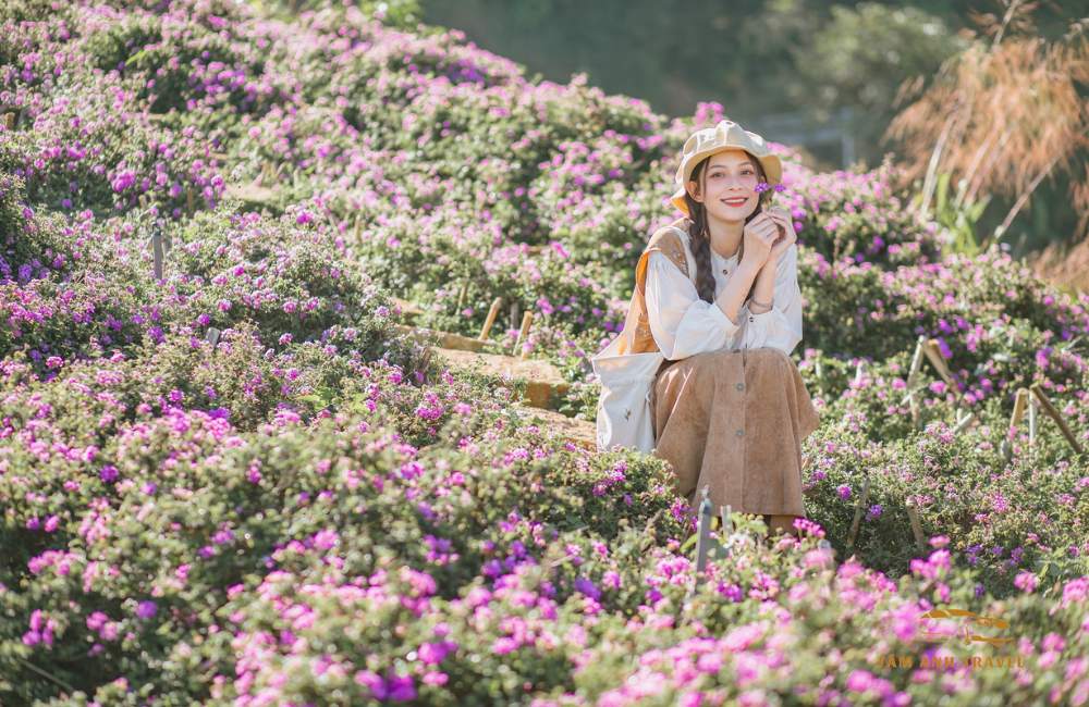 Checkin ngập tràn sắc tím tại "Vườn hoa Lavender Túi Thương Nhớ"