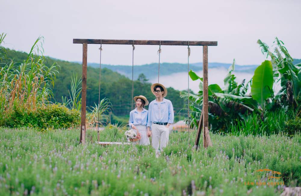 Checkin ngập tràn sắc tím tại "Vườn hoa Lavender Túi Thương Nhớ"