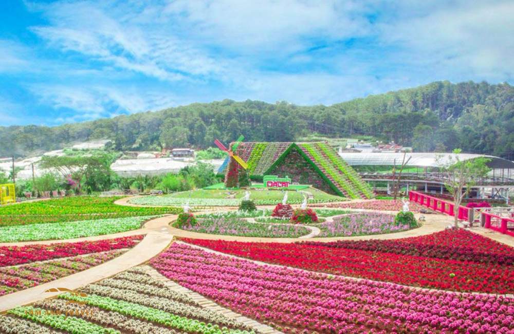 Checkin ngập tràn sắc tím tại "Vườn hoa Lavender Túi Thương Nhớ"