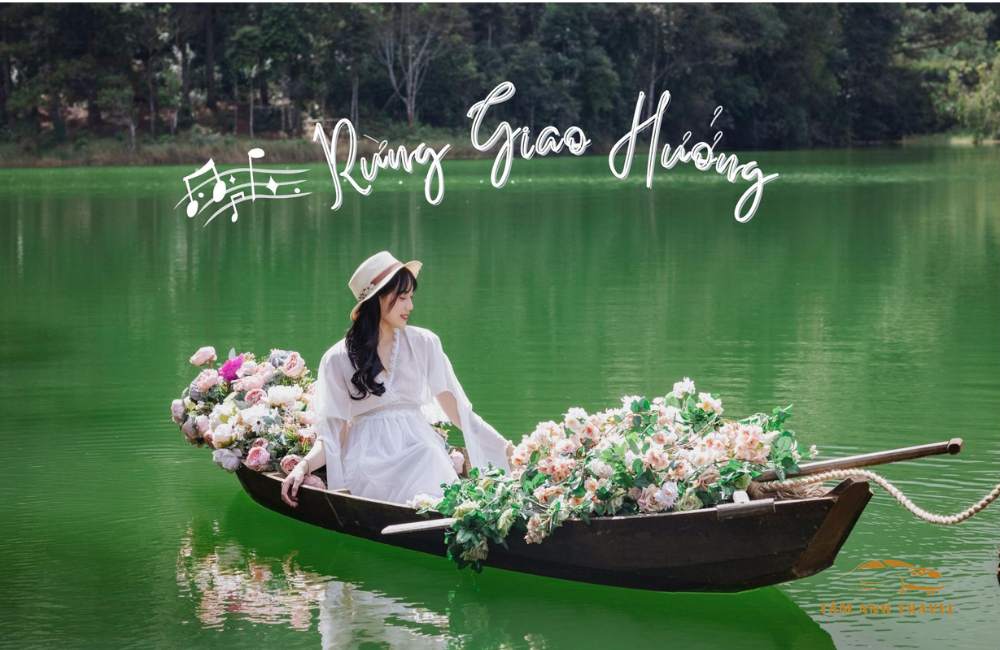 Checkin ngập tràn sắc tím tại "Vườn hoa Lavender Túi Thương Nhớ"