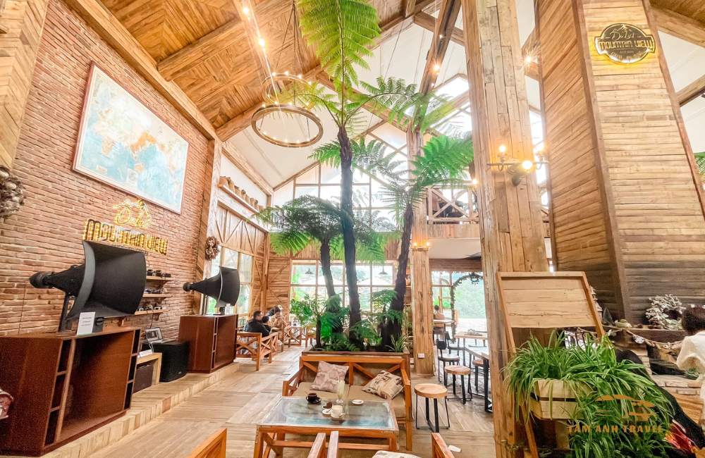 Review quán cafe Đà Lạt Mountain View đậm chất Bắc Âu