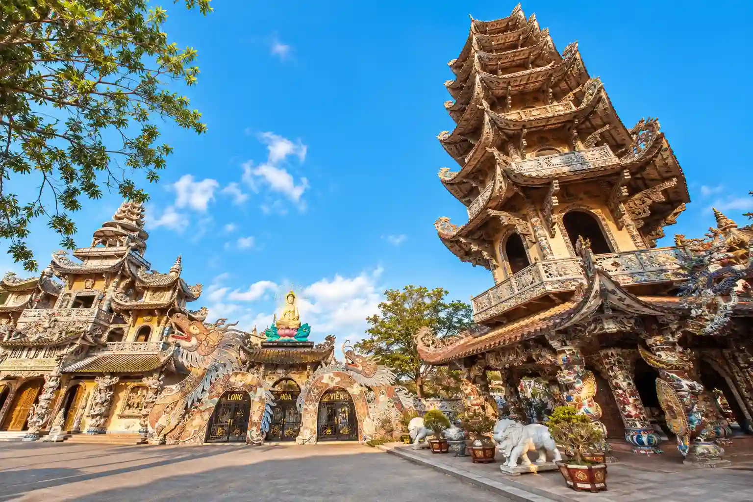 Thung Lũng Khói Xanh Đà Lạt
