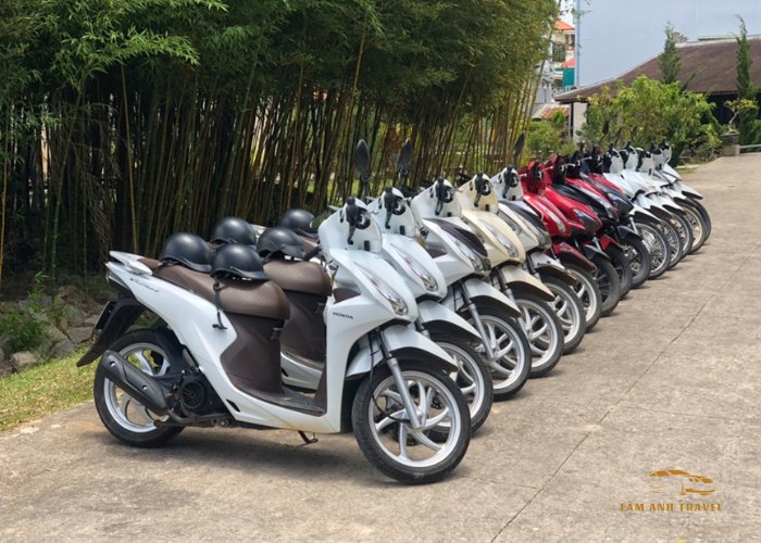 8 địa chỉ thuê xe máy Đà Lạt - Không cần cọc, giao tận nơi