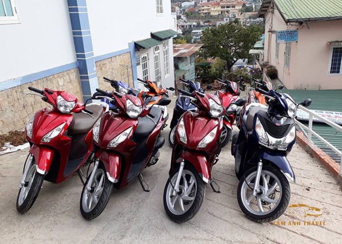 8 địa chỉ thuê xe máy Đà Lạt - Không cần cọc, giao tận nơi