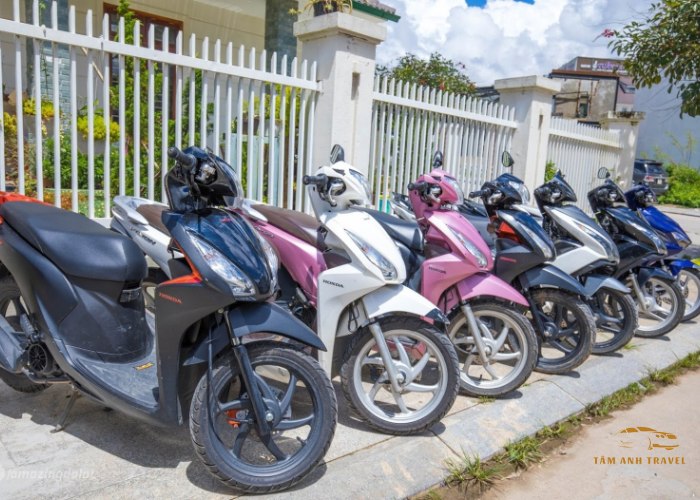 8 địa chỉ thuê xe máy Đà Lạt - Không cần cọc, giao tận nơi