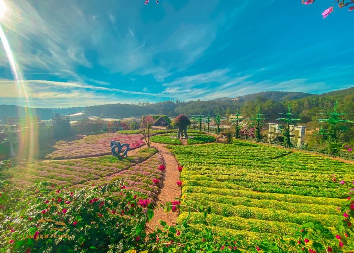 Khu du lịch Fresh Garden Đà Lạt - Thả hồn với muôn ngàn hoa