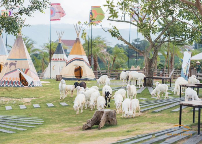 Mongo Land Dalat - Lạc bước giữa thảo nguyên xanh Mông Cổ