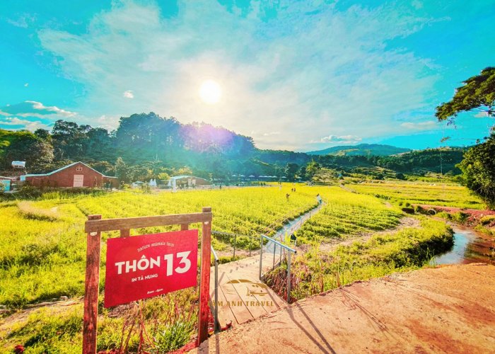 Thôn 13 Đà Lạt - Nông trại thú cưng đẹp như miền quê Châu Âu