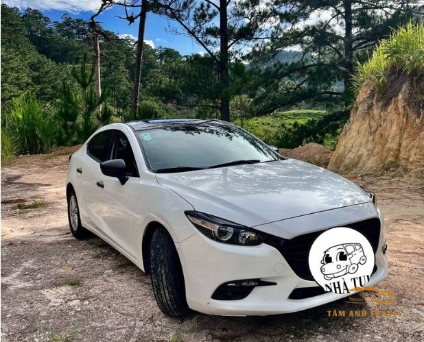 TOP 8 dịch vụ thuê xe tự lái Đà Lạt - Giao xe tận nơi