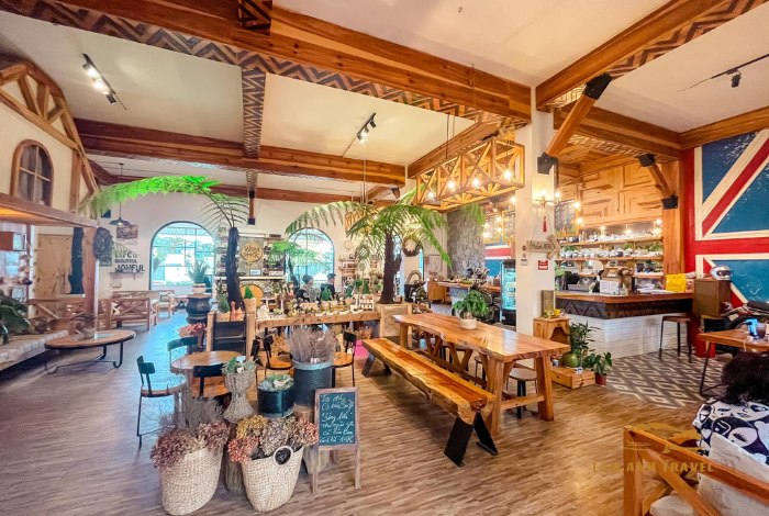 8 Quán cafe chill Đà Lạt - Ngồi đâu cũng có ảnh đẹp