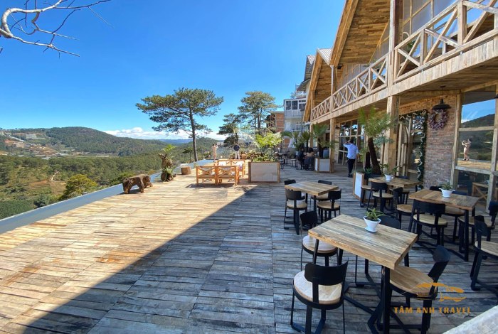 8 Quán cafe chill Đà Lạt - Ngồi đâu cũng có ảnh đẹp