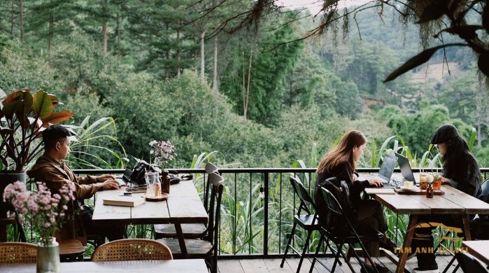 8 Quán cafe chill Đà Lạt - Ngồi đâu cũng có ảnh đẹp