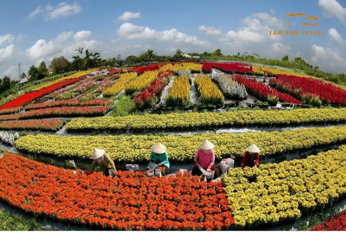 Lạc tiên giới Đà Lạt - Thiên đường sống ảo đẳng cấp