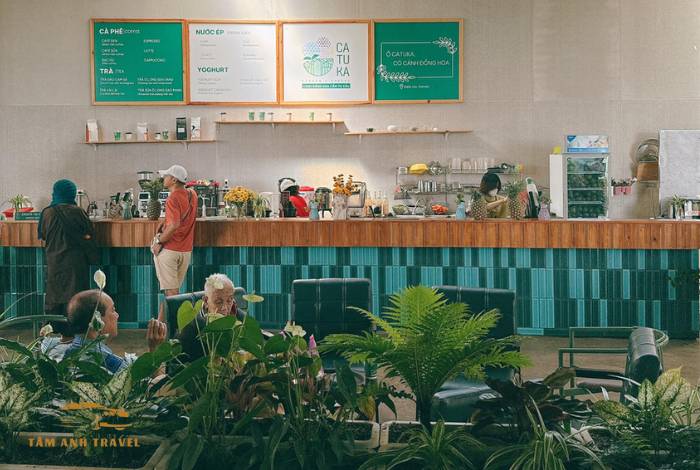 Cánh đồng hoa Cẩm Tú Cầu Đà Lạt - 5 tọa độ check in đẹp như tranh
