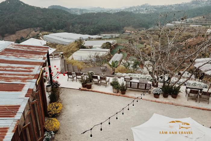 TOP 6 quán cafe view đẹp Đà Lạt ngắm trọn thành phố ngàn thông