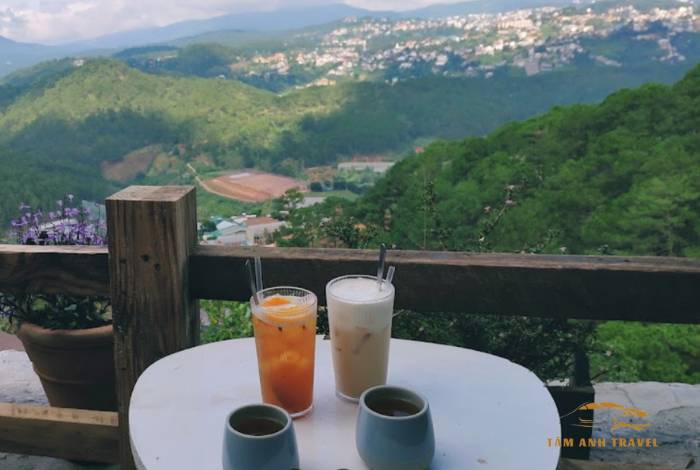 TOP 6 quán cafe view đẹp Đà Lạt ngắm trọn thành phố ngàn thông