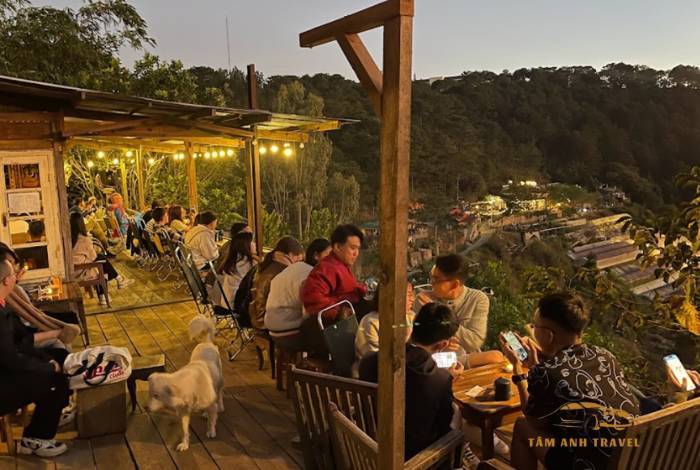 TOP 6 quán cafe view đẹp Đà Lạt ngắm trọn thành phố ngàn thông