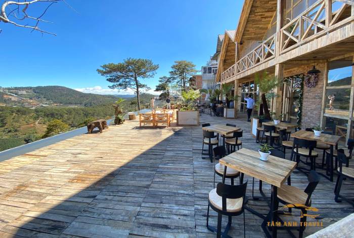 TOP 6 quán cafe view đẹp Đà Lạt ngắm trọn thành phố ngàn thông