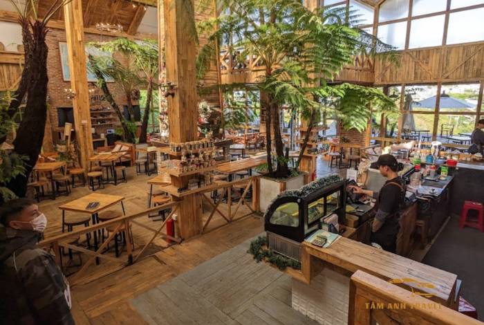 TOP 6 quán cafe view đẹp Đà Lạt ngắm trọn thành phố ngàn thông