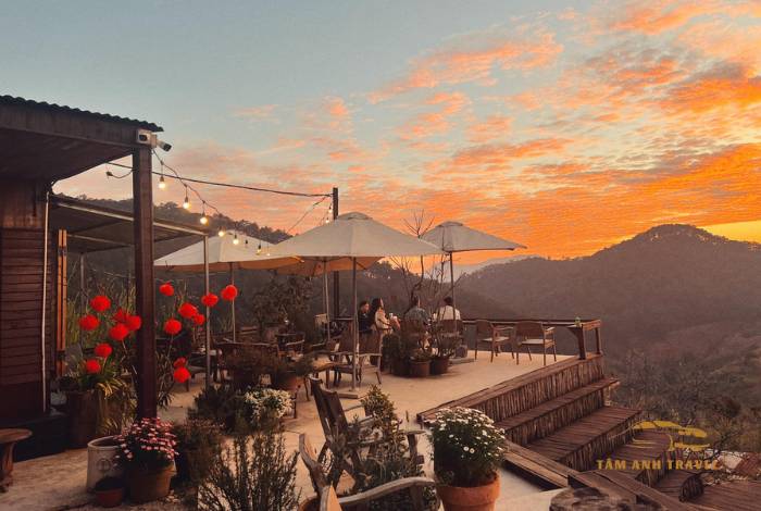 TOP 6 quán cafe view đẹp Đà Lạt ngắm trọn thành phố ngàn thông