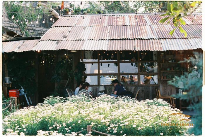 TOP 6 quán cafe view đẹp Đà Lạt ngắm trọn thành phố ngàn thông