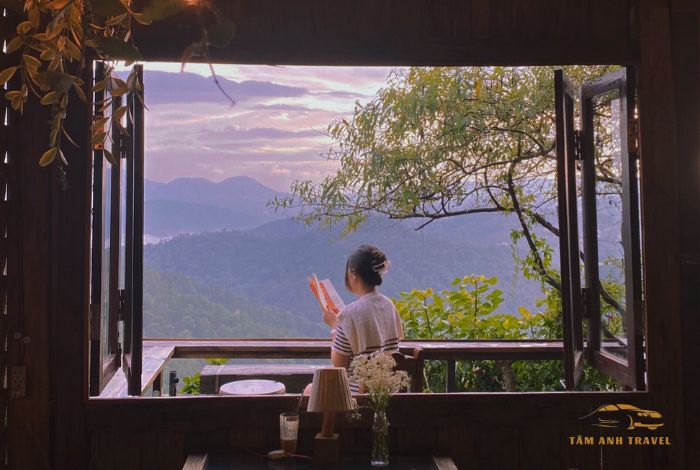 TOP 6 quán cafe view đẹp Đà Lạt ngắm trọn thành phố ngàn thông