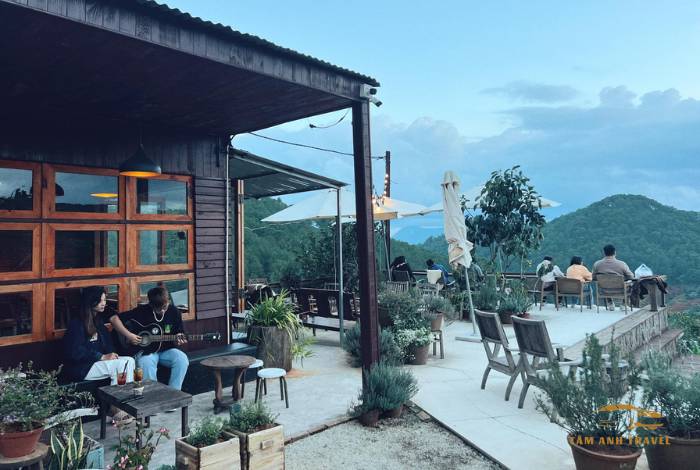 TOP 6 quán cafe view đẹp Đà Lạt ngắm trọn thành phố ngàn thông
