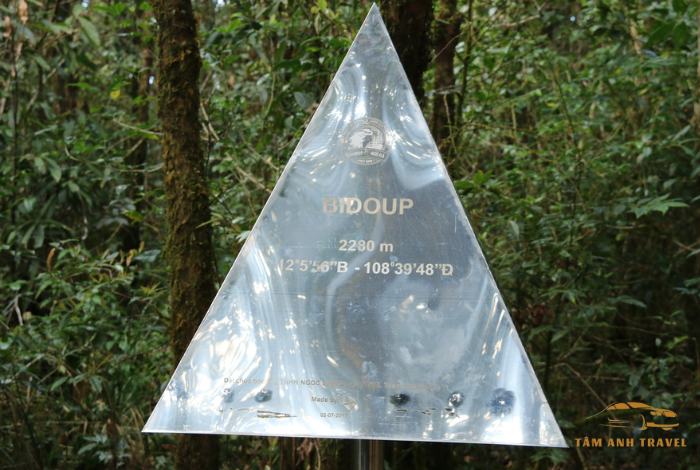 Top 3 cung đường Trekking Đà Lạt đẹp mê li