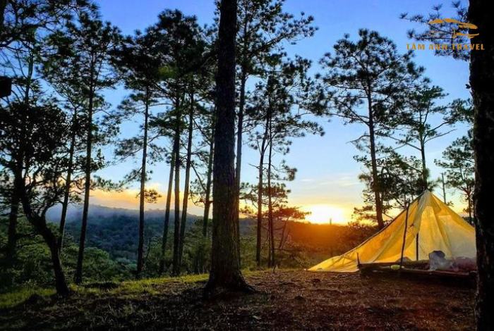 Top 3 cung đường Trekking Đà Lạt đẹp mê li