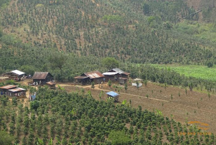 Top 3 cung đường Trekking Đà Lạt đẹp mê li