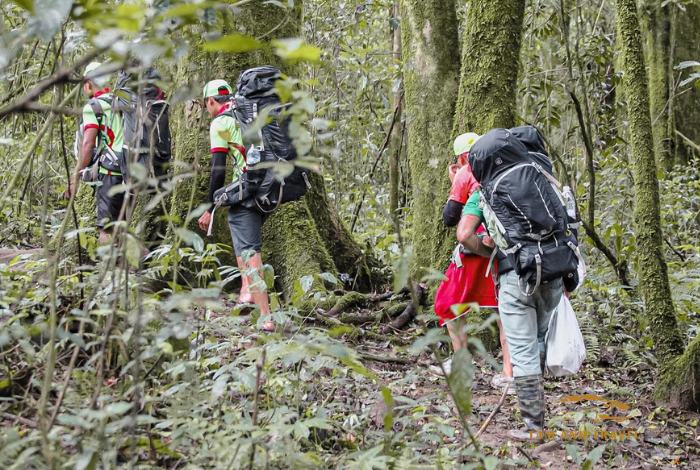 Top 3 cung đường Trekking Đà Lạt đẹp mê li