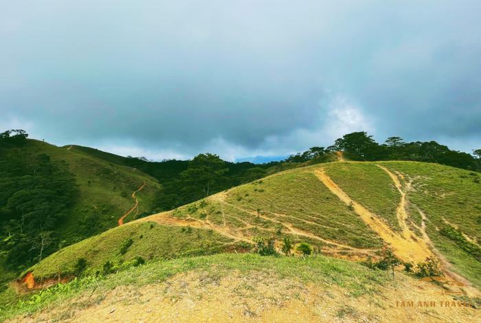 Top 3 cung đường Trekking Đà Lạt đẹp mê li