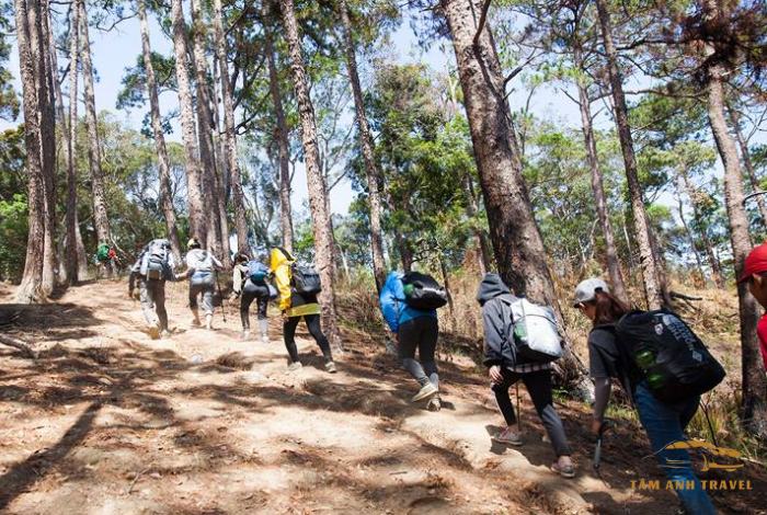 Top 3 cung đường Trekking Đà Lạt đẹp mê li