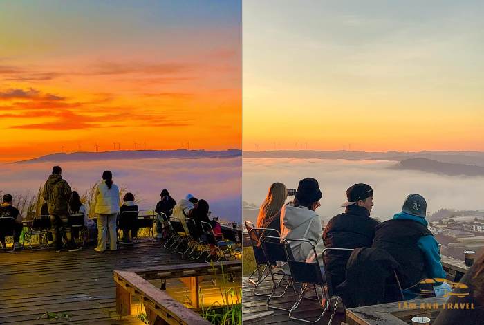 Top 8 quán cafe săn mây Đà Lạt check in "triệu like"