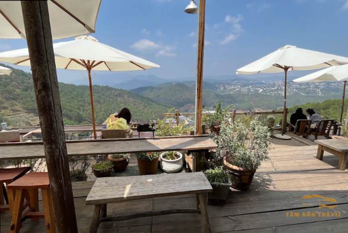Top 8 quán cafe săn mây Đà Lạt check in "triệu like"