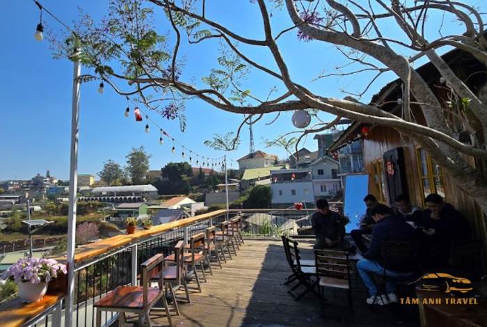 Top 8 quán cafe săn mây Đà Lạt check in "triệu like"