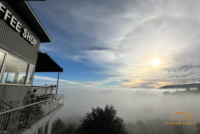 Top 8 quán cafe săn mây Đà Lạt check in "triệu like"