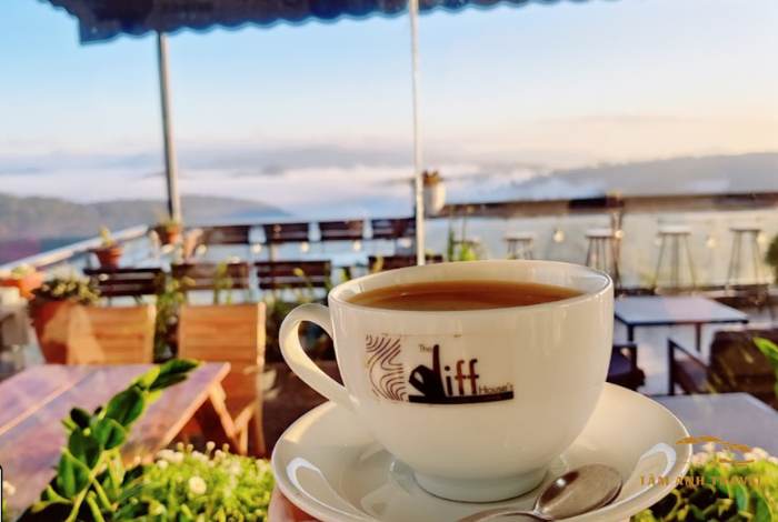 Top 8 quán cafe săn mây Đà Lạt check in "triệu like"