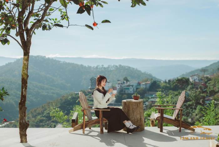 Top 8 quán cafe săn mây Đà Lạt check in "triệu like"