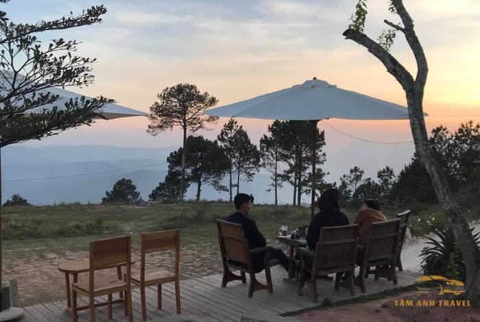 Top 8 quán cafe săn mây Đà Lạt check in "triệu like"