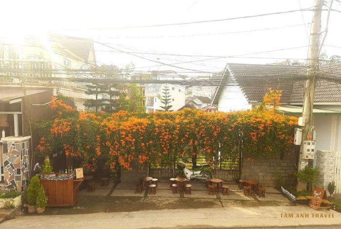 Top 9 quán cafe muối Đà Lạt Ngon chuẩn vị