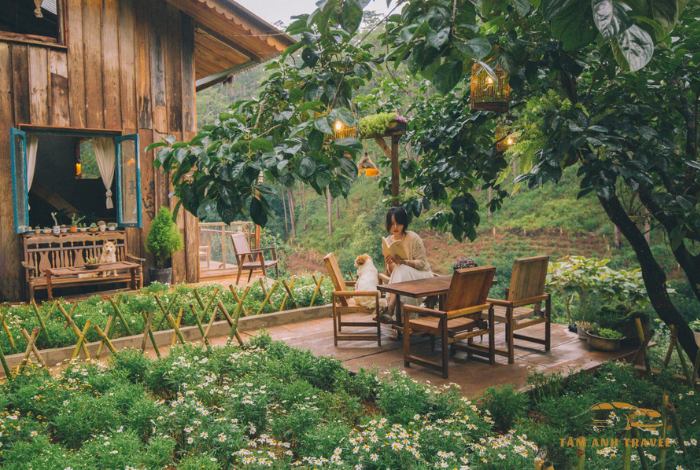 Top 9 quán cafe muối Đà Lạt Ngon chuẩn vị