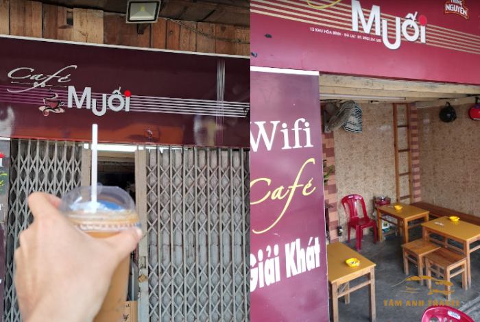 Top 9 quán cafe muối Đà Lạt Ngon chuẩn vị