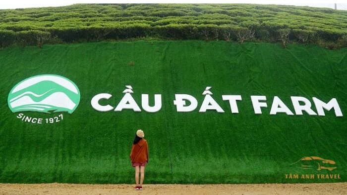 Top 10 các điểm du lịch Đà Lạt "hot nhất" hiện nay