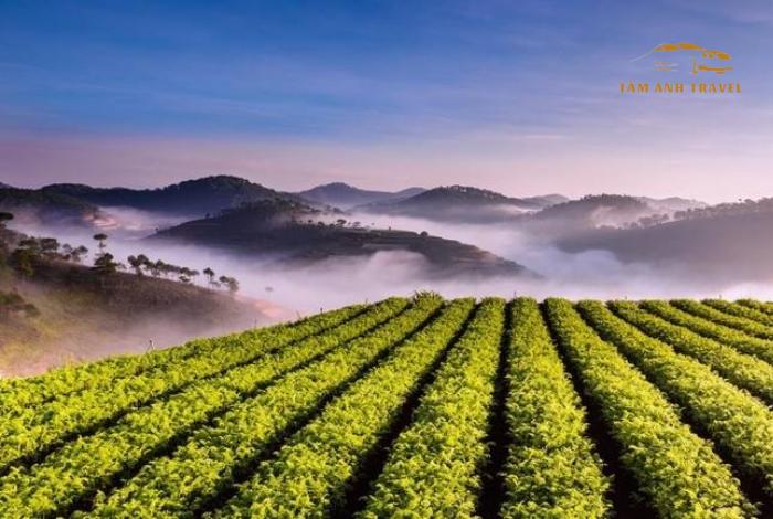 Top 10 các điểm du lịch Đà Lạt "hot nhất" hiện nay