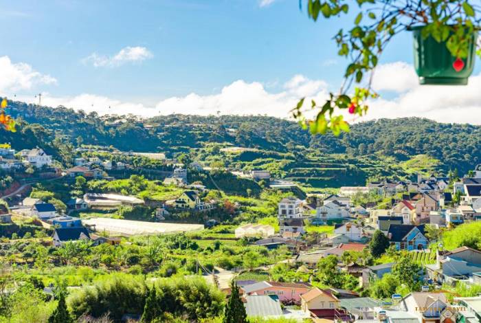 Top 7 Villa Đà Lạt view thung lũng cực đẹp