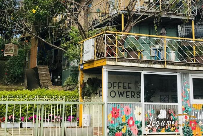 Top 9 căn homestay Đà Lạt View đẹp, Giá Rẻ